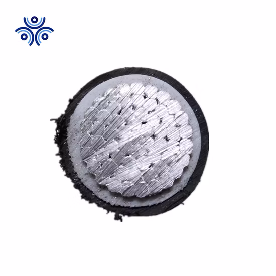 Ttu 400mcm 450mcm 500mcm Медный электрический провод Кабель Силовые кабели Buidling Wire 600V 2000V